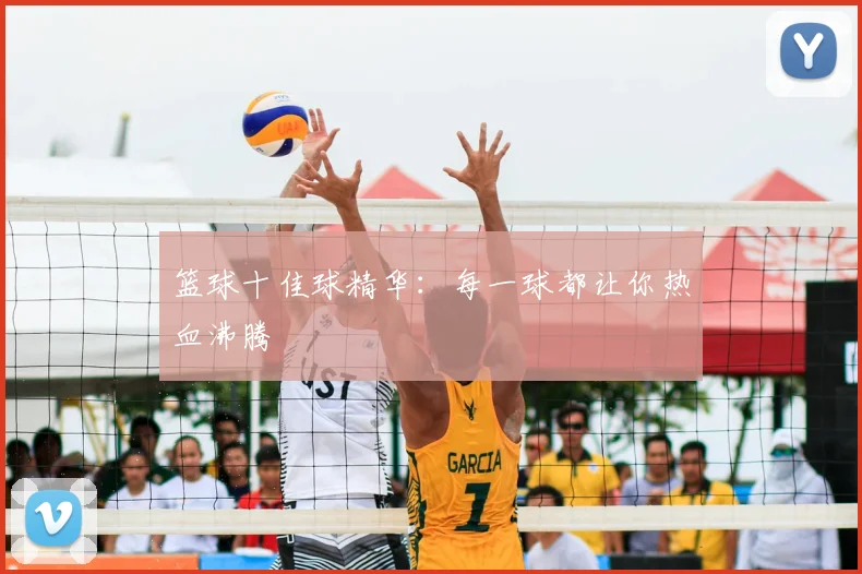 篮球十佳球精华：每一球都让你热血沸腾